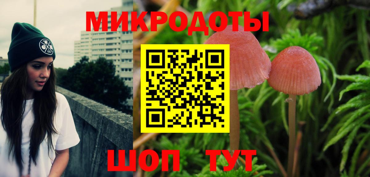 Галлюциногенные грибы прущие грибы Гусев